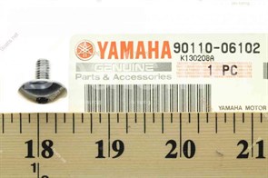Болт головки блока Yamaha YXZ 1000 90110-06007-00 /90110-06102-00