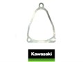 Прокладка КП Kawasaki KVF 750 /KVF650 11060-1956 - фото 62962