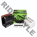 Аккумулятор для Suzuki KingQuad 750/700/500 33610-03G10 \Polaris 4012638 Atom YTX20CH-BS - фото 63076